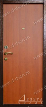 DS-1101 Металлическая дверь (порошковое напыление с рисунком на металле и антивандальный ламинат)