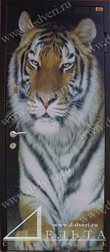 Металлическая дверь с зеркалом (фотопанель и декоративная панель МДФ ПВХ с зеркалом)
